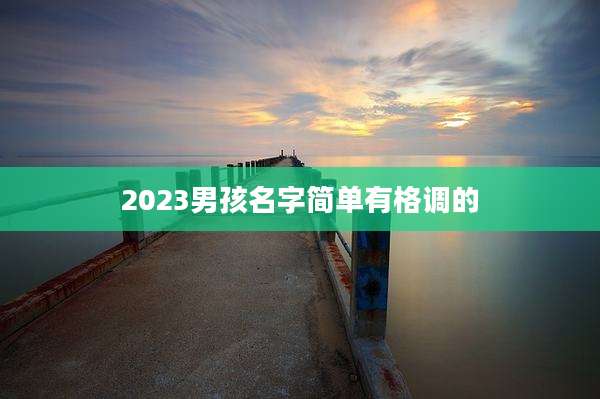 2023男孩名字简单有格调的