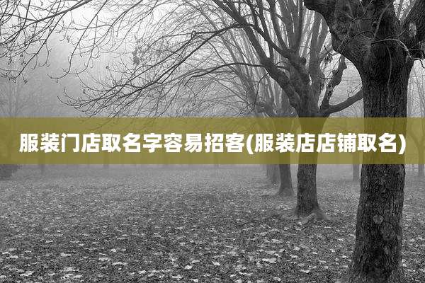 服装门店取名字容易招客(服装店店铺取名)