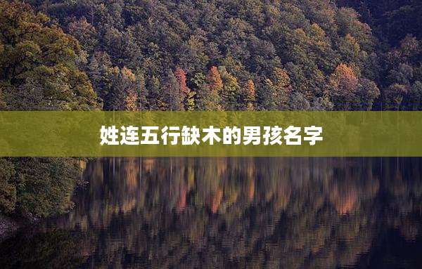 姓连五行缺木的男孩名字