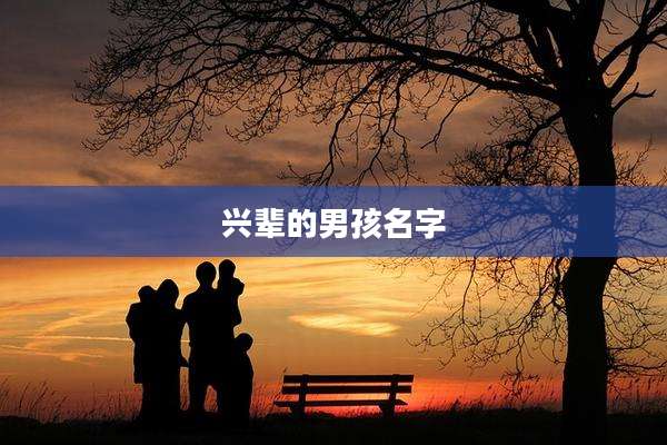 兴辈的男孩名字