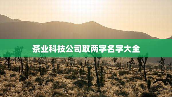茶业科技公司取两字名字大全