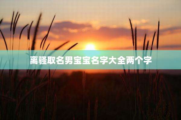 离骚取名男宝宝名字大全两个字