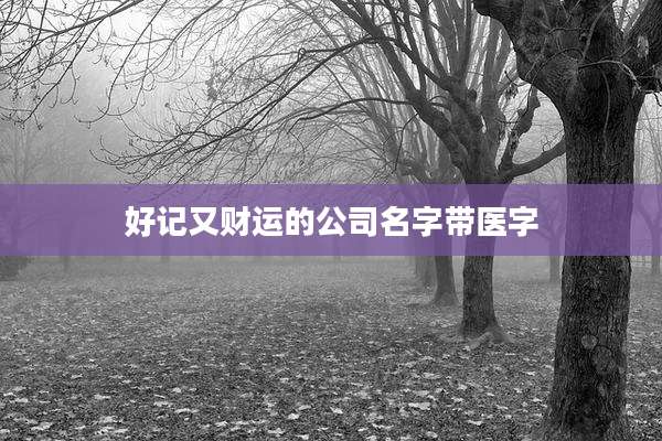 好记又财运的公司名字带医字
