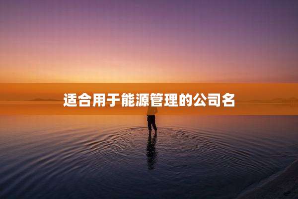 适合用于能源管理的公司名