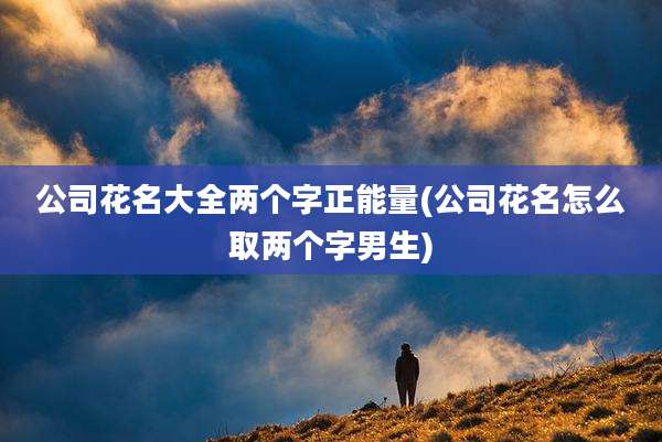 公司花名大全两个字正能量(公司花名怎么取两个字男生)