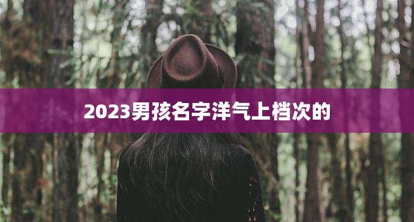 2023男孩名字洋气上档次的