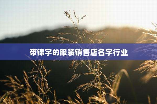 带锦字的服装销售店名字行业