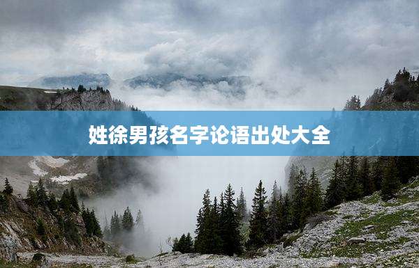 姓徐男孩名字论语出处大全