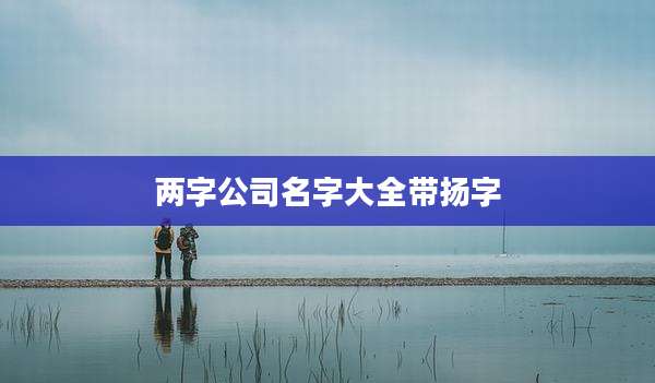 两字公司名字大全带扬字