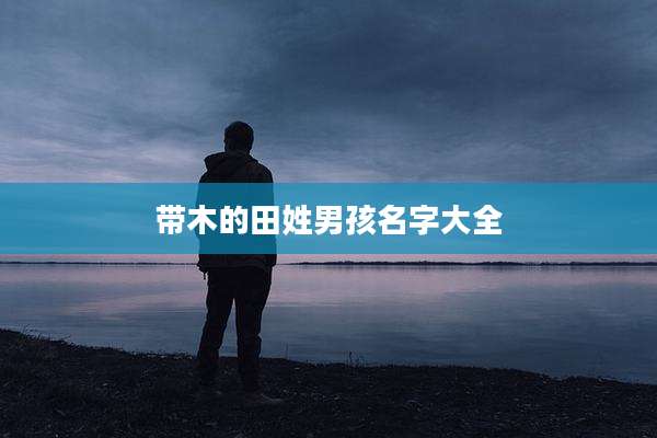 带木的田姓男孩名字大全