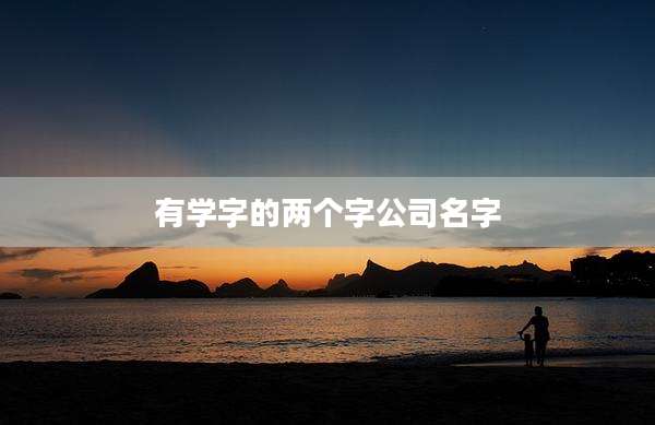 有学字的两个字公司名字