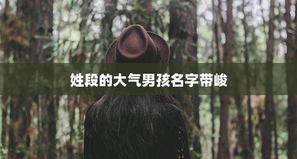 姓段的大气男孩名字带峻