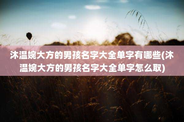 沐温婉大方的男孩名字大全单字有哪些(沐温婉大方的男孩名字大全单字怎么取)