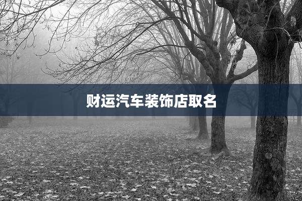 财运汽车装饰店取名
