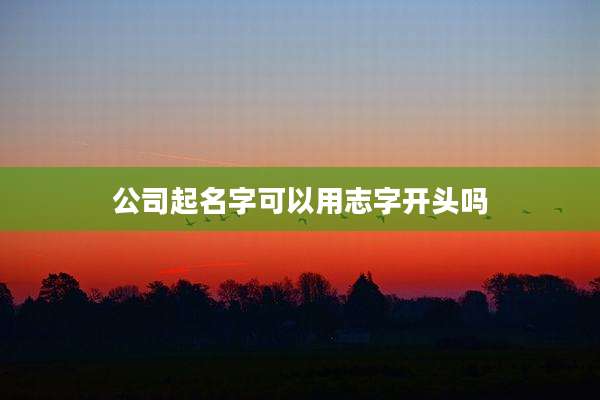 公司起名字可以用志字开头吗