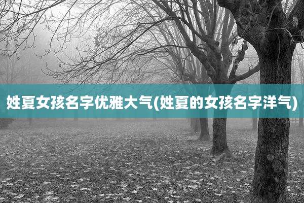 姓夏女孩名字优雅大气(姓夏的女孩名字洋气)