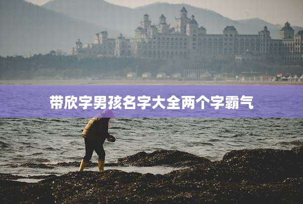 带欣字男孩名字大全两个字霸气