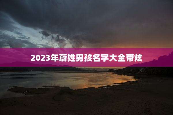 2023年蔚姓男孩名字大全带炫