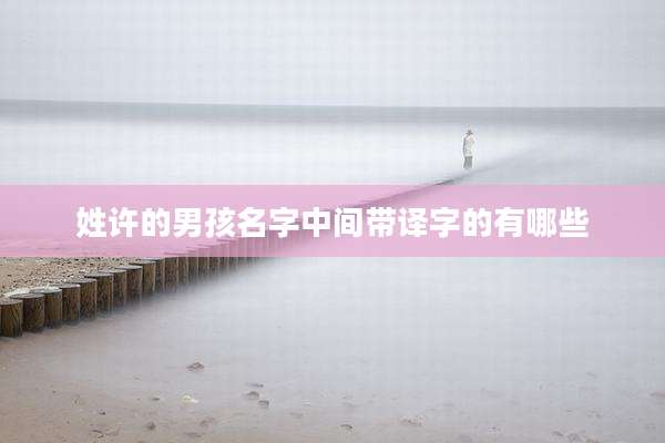 姓许的男孩名字中间带译字的有哪些