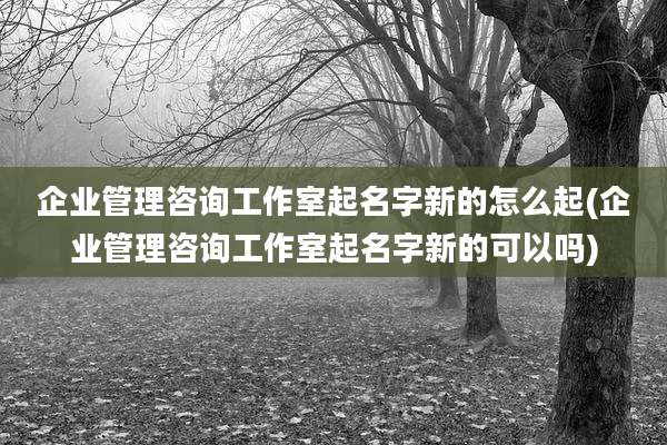 企业管理咨询工作室起名字新的怎么起(企业管理咨询工作室起名字新的可以吗)