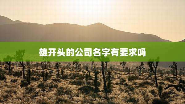 雄开头的公司名字有要求吗