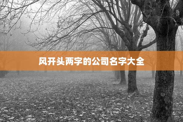 风开头两字的公司名字大全
