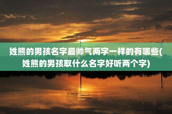 姓熊的男孩名字最帅气两字一样的有哪些(姓熊的男孩取什么名字好听两个字)