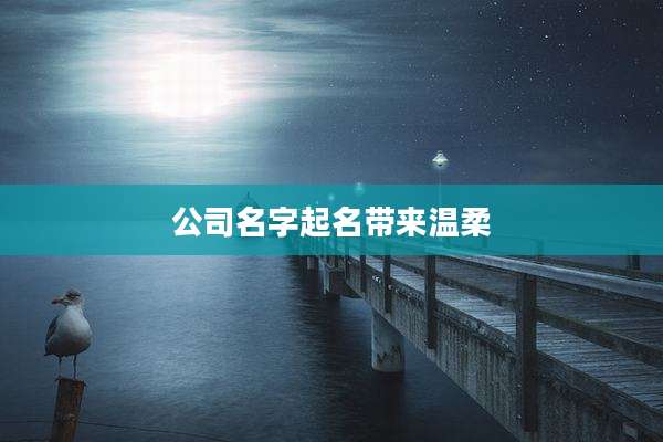公司名字起名带来温柔