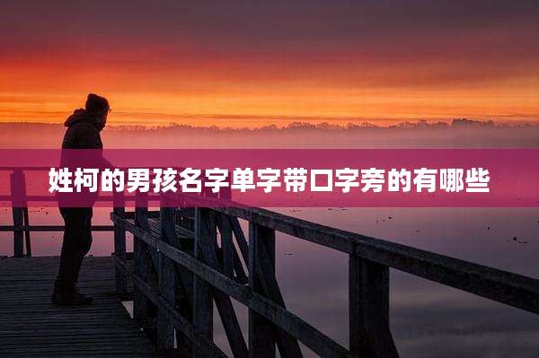 姓柯的男孩名字单字带口字旁的有哪些