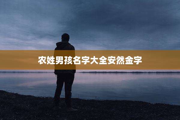 农姓男孩名字大全安然金字