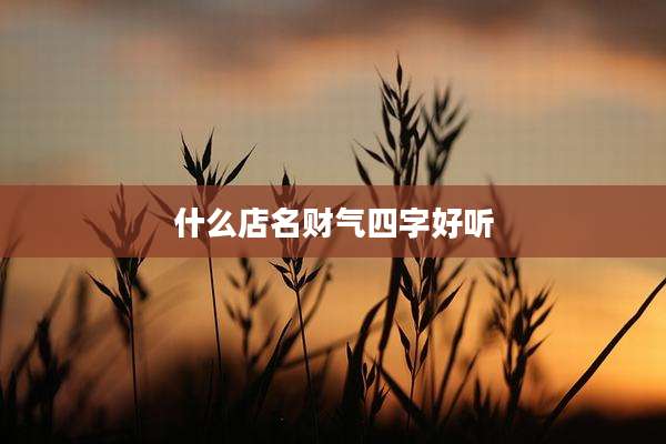 什么店名财气四字好听