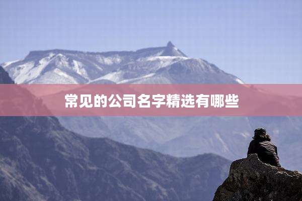 常见的公司名字精选有哪些