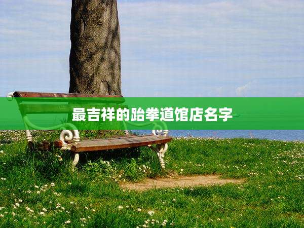最吉祥的跆拳道馆店名字
