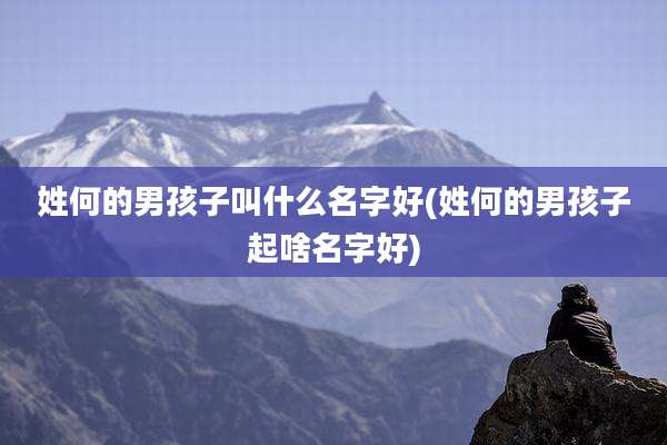 姓何的男孩子叫什么名字好(姓何的男孩子起啥名字好)