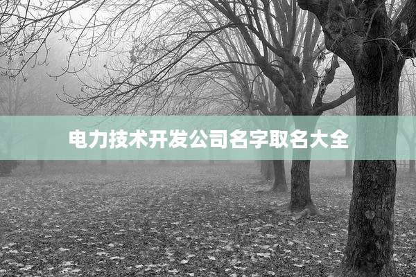 电力技术开发公司名字取名大全