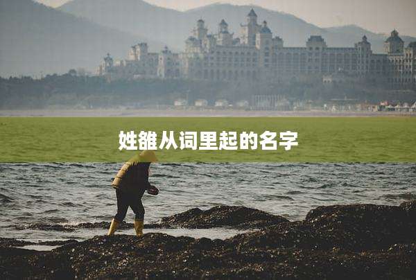 姓雒从词里起的名字