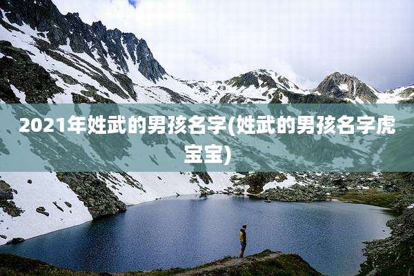 2021年姓武的男孩名字(姓武的男孩名字虎宝宝)