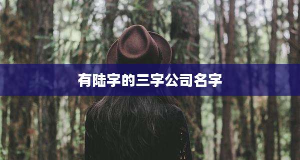 有陆字的三字公司名字