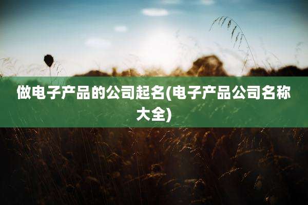 做电子产品的公司起名(电子产品公司名称大全)