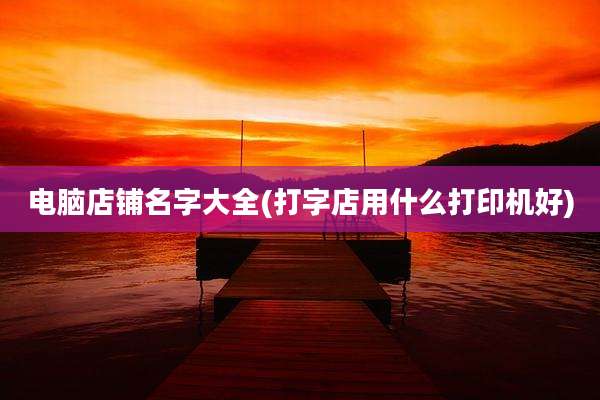 电脑店铺名字大全(打字店用什么打印机好)