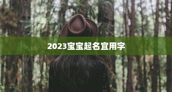 2023宝宝起名宜用字