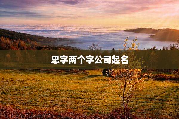 思字两个字公司起名