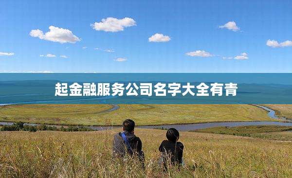 起金融服务公司名字大全有青
