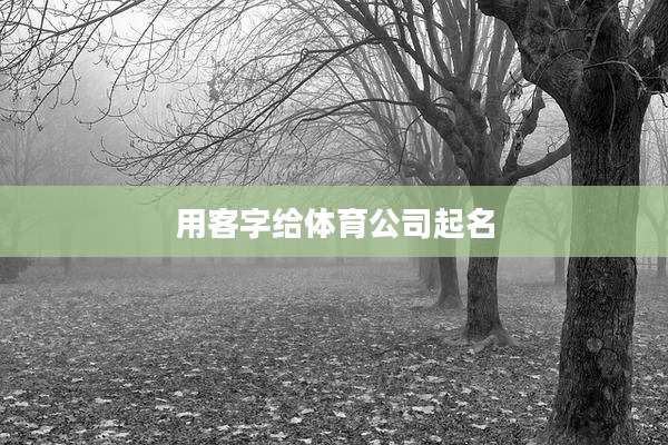 用客字给体育公司起名