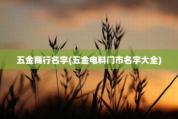 五金商行名字(五金电料门市名字大全)