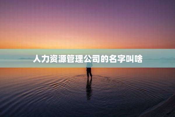 人力资源管理公司的名字叫啥