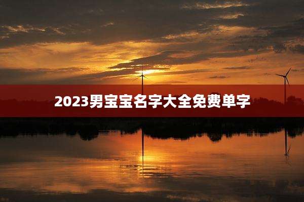 2023男宝宝名字大全免费单字