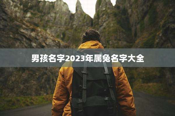 男孩名字2023年属兔名字大全