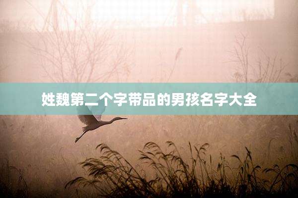 姓魏第二个字带品的男孩名字大全