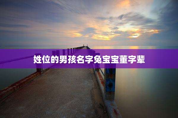 姓位的男孩名字兔宝宝董字辈